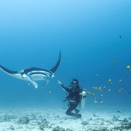 Blue Marlin Dive Komodo Лабуан Баджо Екстериор снимка