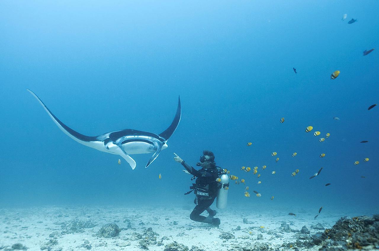 Blue Marlin Dive Komodo Лабуан Баджо Екстериор снимка